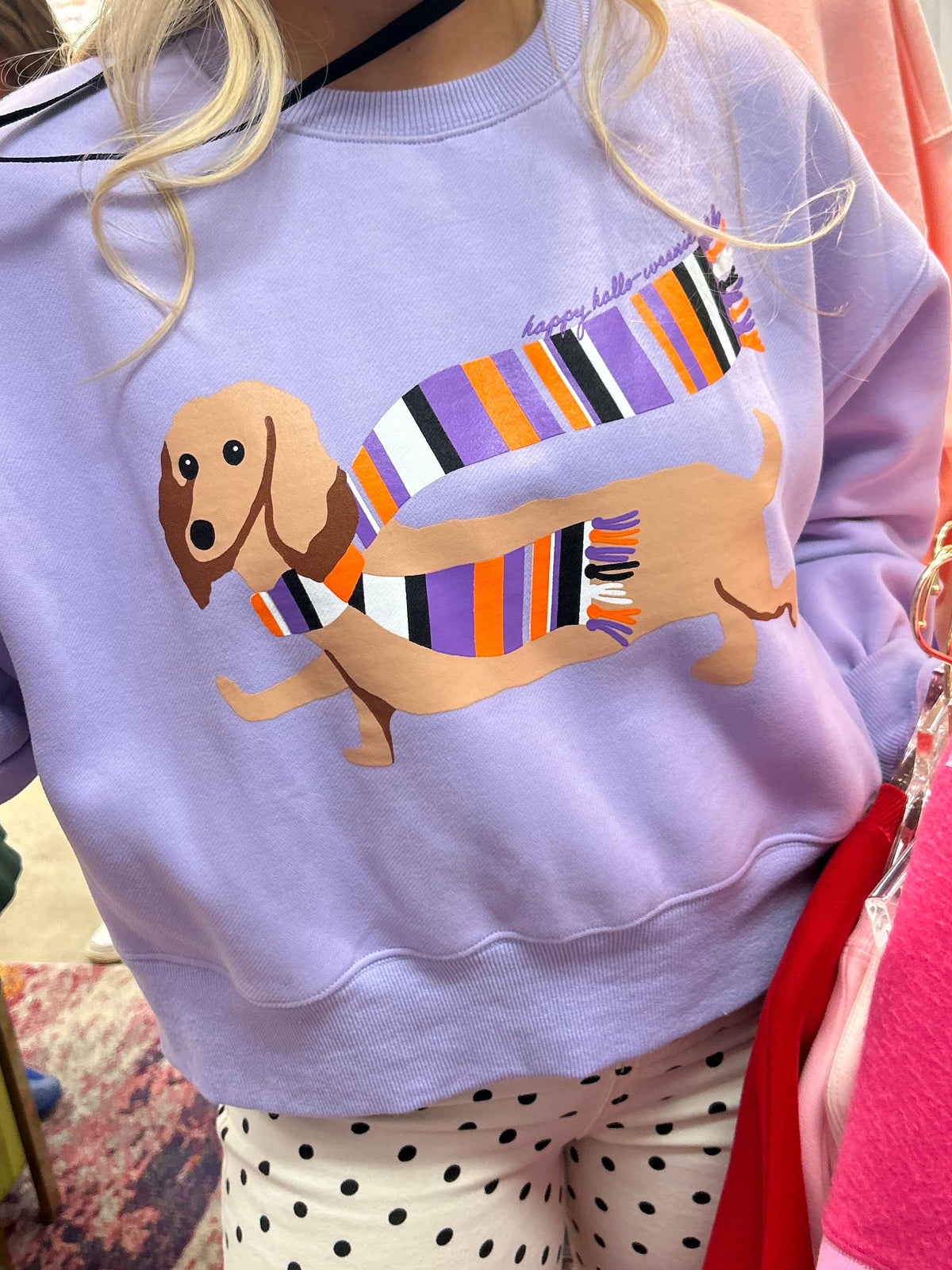 Happy Hallo-weenie Crop Sweatshirt