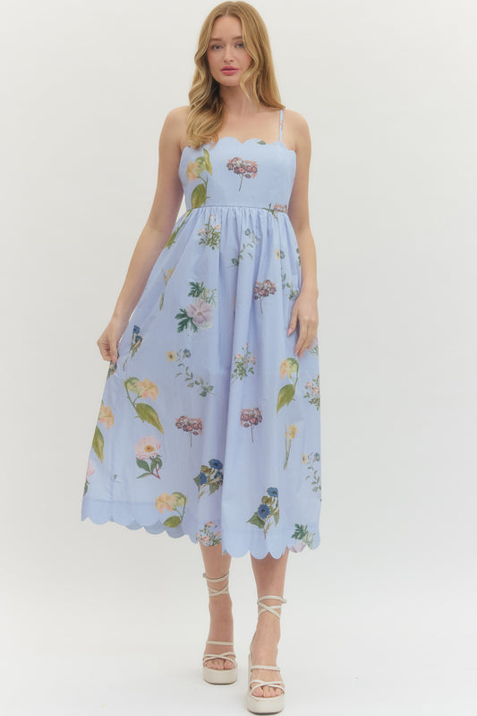 Sweet Scallop Blue Midi Dress